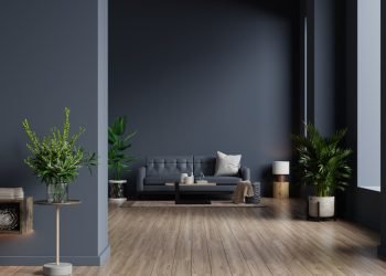 nuanța de gri șobolan