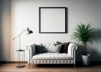 plante se pot pune într-un colț mai întunecat al casei