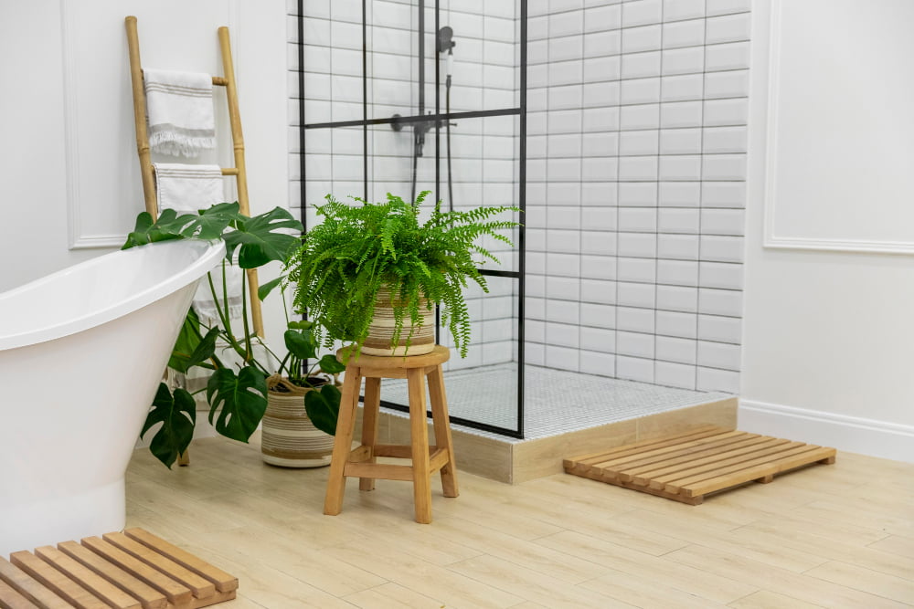 Plante